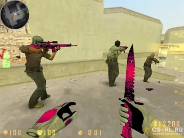 cs 1.6 pulse