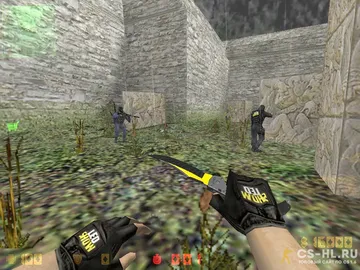 cs 1.6 leoshow