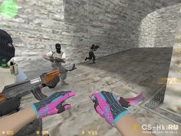 CS 1.6 Vice