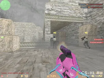 CS 1.6 Vice